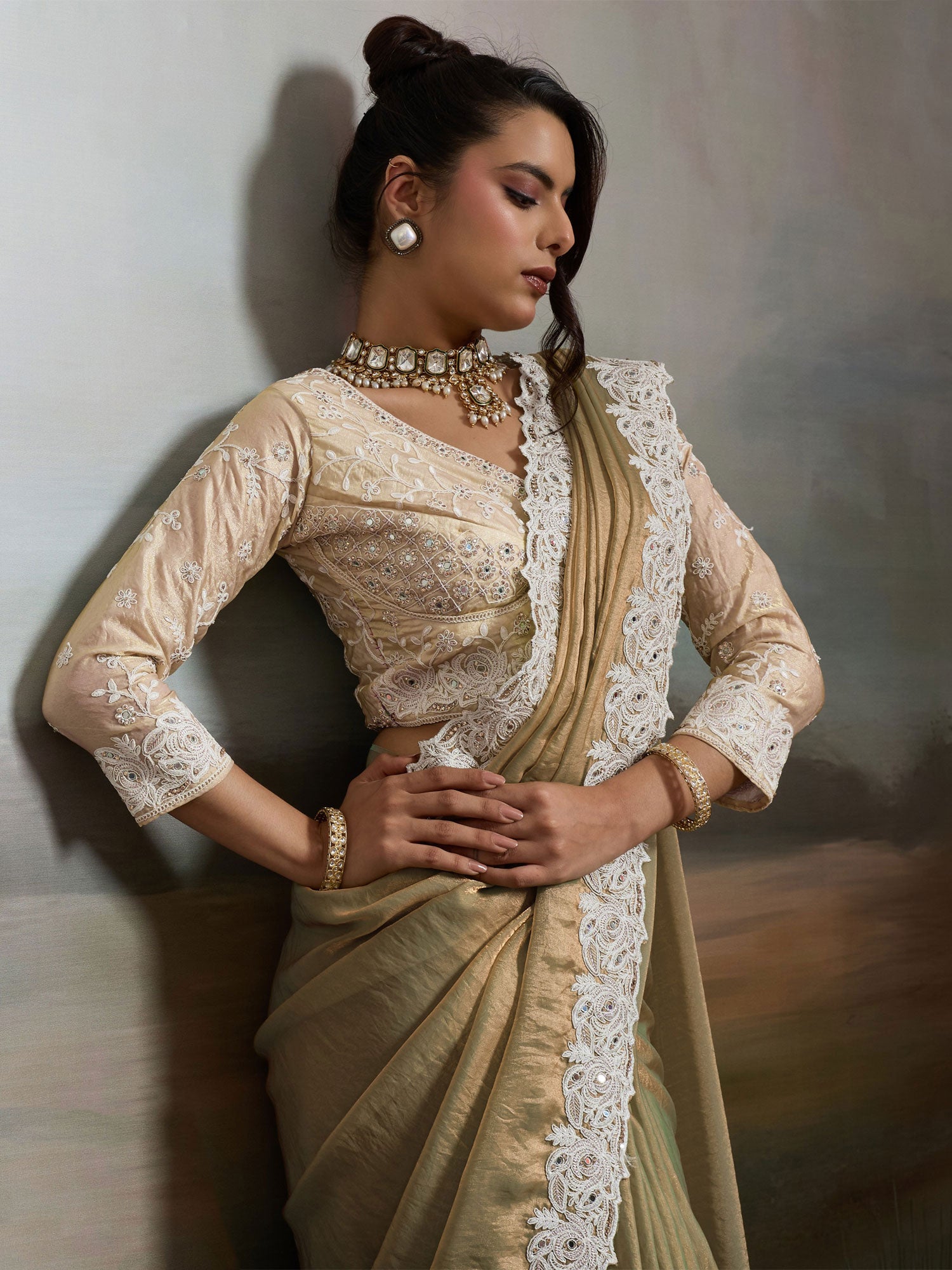 Dark Beige Heavy Mirror Work  Saree In Velvet