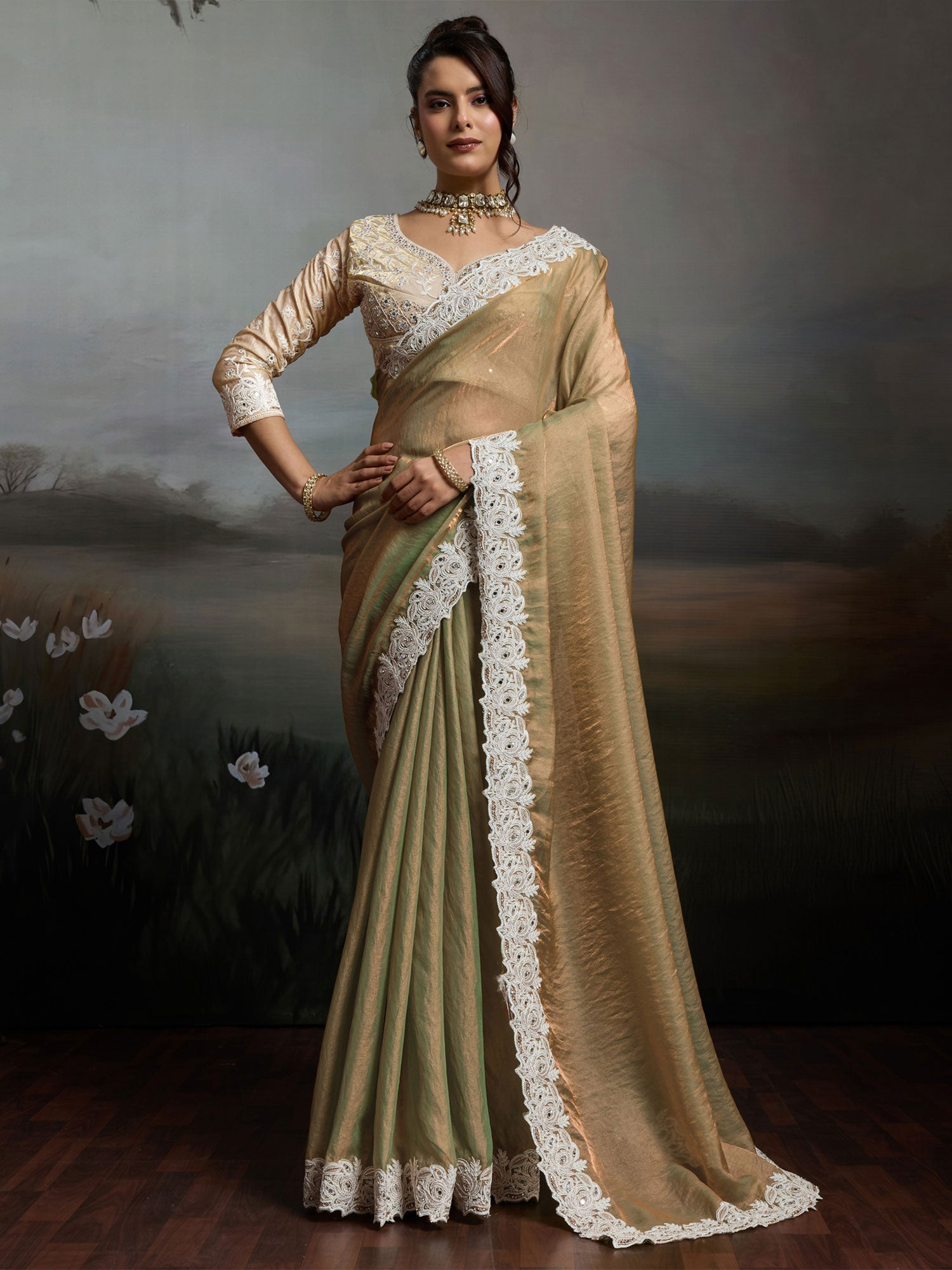 Dark Beige Heavy Mirror Work  Saree In Velvet