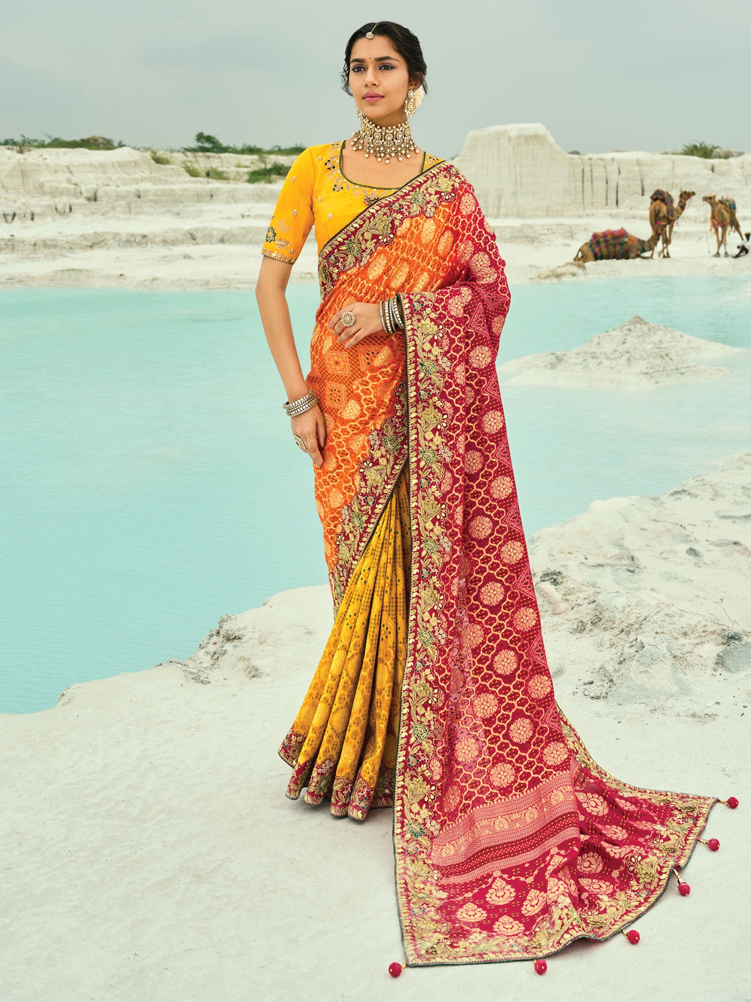 Multicolor Shaded Traditional Saree In Floral Embroidery