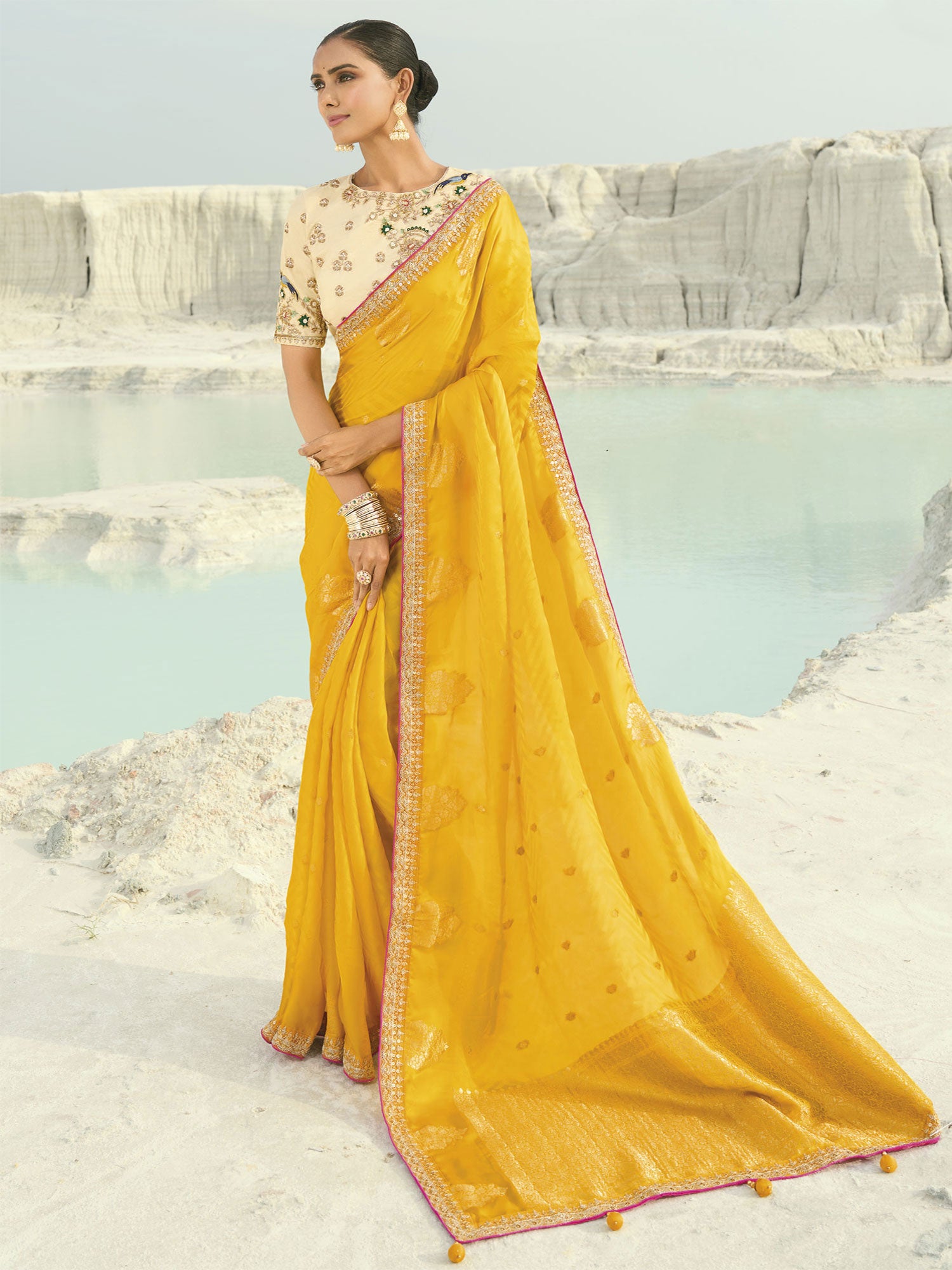 Yellow Hand Work Embroidered Organza Saree