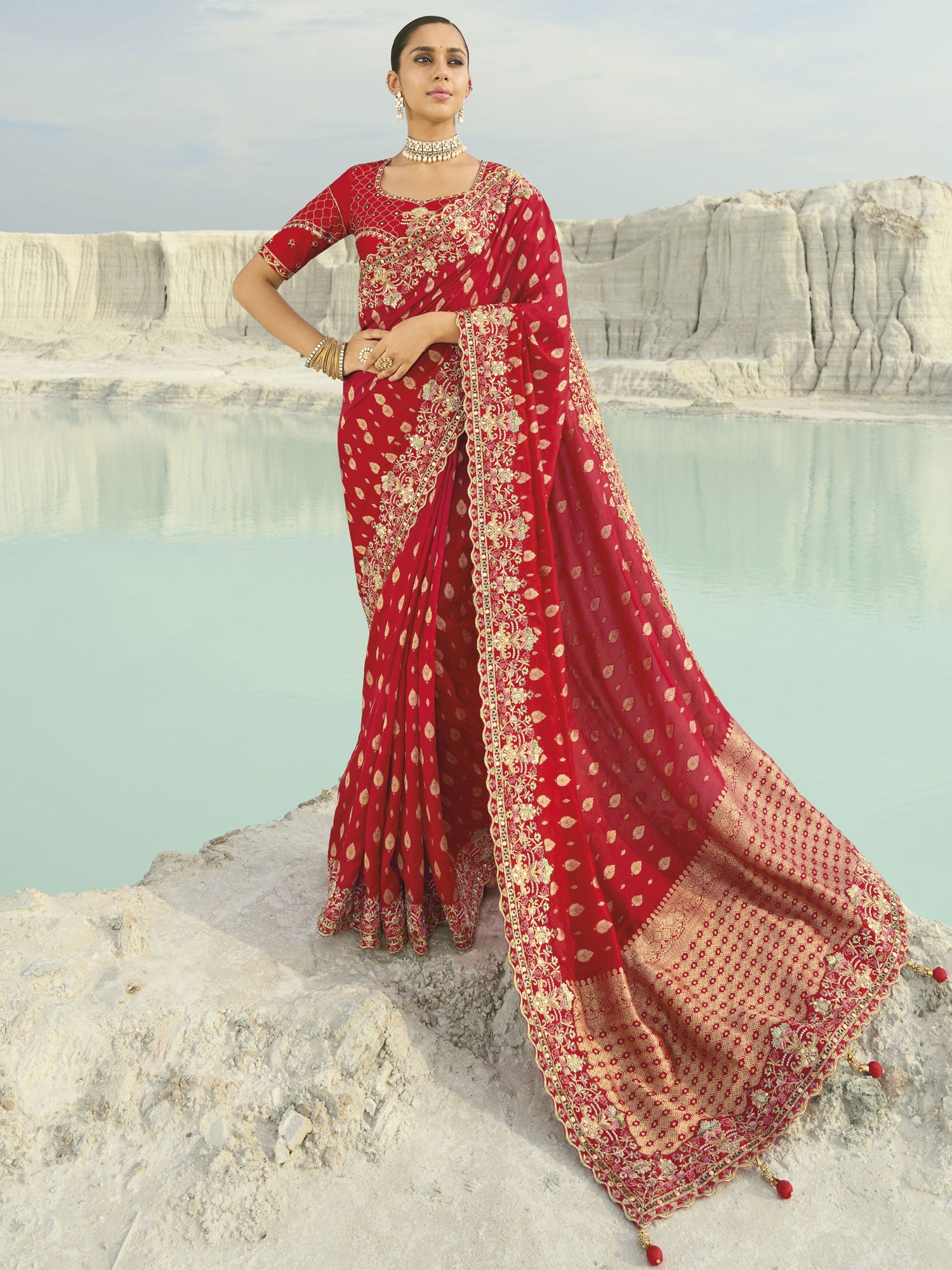 Red Bridal Saree With Heavy Zari Woven Pallu