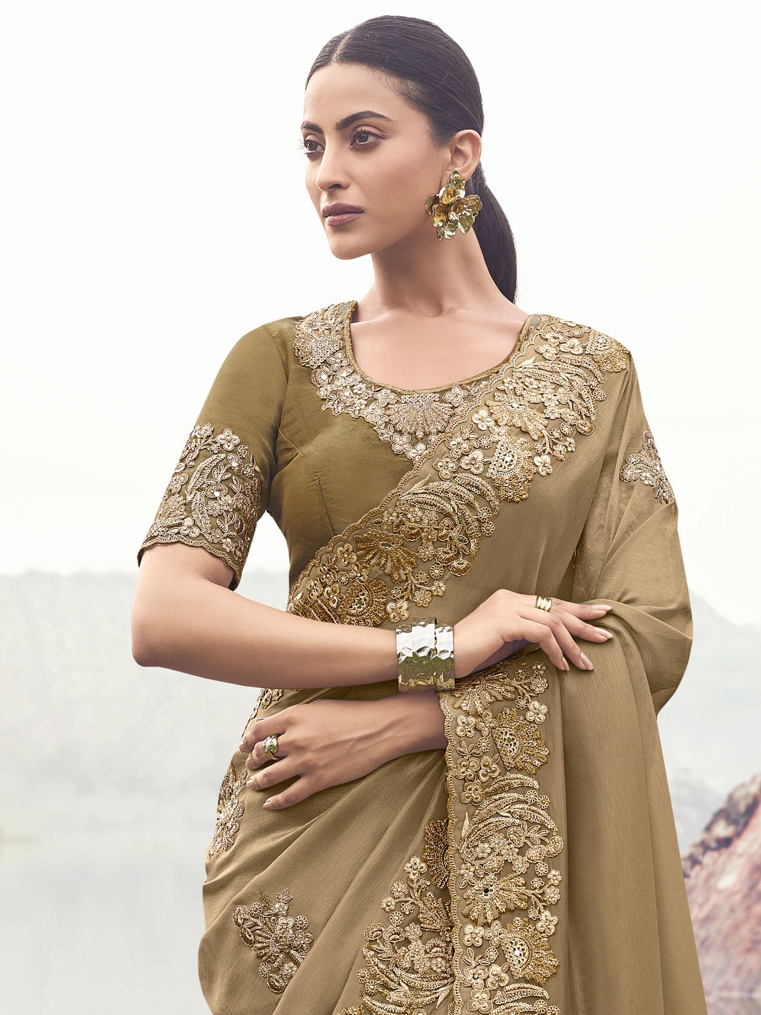 Dark Beige Silk Saree With Floral Embroidered Borders