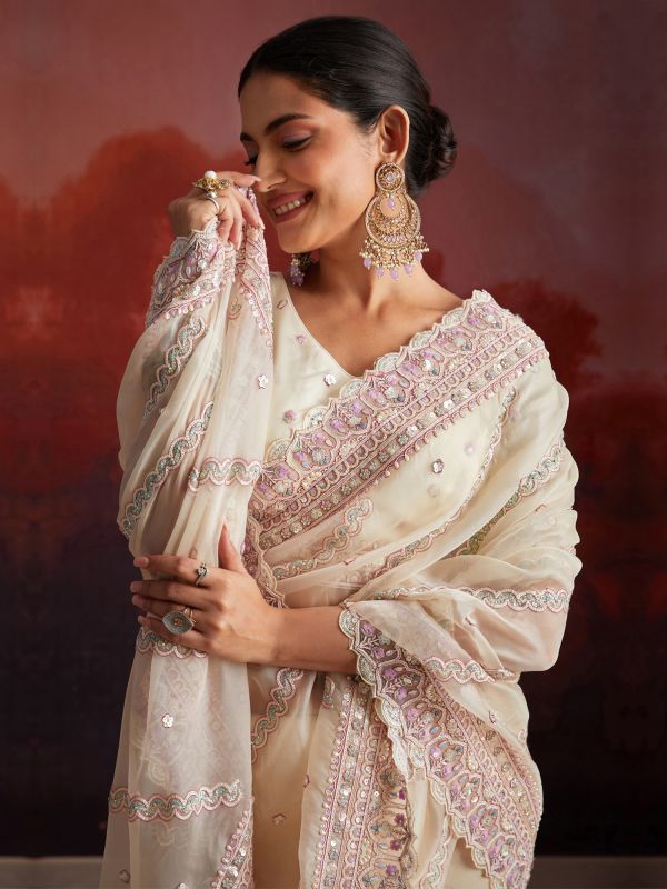 Light Beige Net Saree With Heavy Embroidered Borders