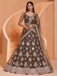 Brown Colour Net,Shantoon Fabric Lehenga Choli.