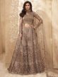 Net Fabric Indian Designer Lehenga Choli Brown Colour.