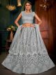 Grey Colour Net Fabric Women Lehenga Choli.