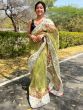 Green Organza Saree With Embroidered Borders