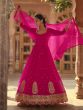 Rani Pink Zari Work Enhanced Anarkali Salwar Suit In Net