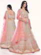 Off White Net Lehenga Choli With Embroidery