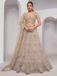 Brown Floral Zari Embellished Net Lehenga Choli