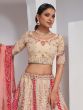 Cream Traditional Silk Lehenga Set In Zari Work