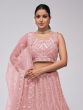 Dusty Pink Sequins Embroidered Lehenga Choli