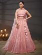 Rose Pink Cutdana Enhanced Lehenga Choli