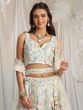 White Sequins Embroidered Lehenga Choli In Net