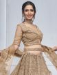 Light Brown Traditional Wear Lehenga Choli Set