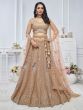 Beige Heavy Stone Embroidered Lehenga Choli