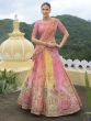 Multicolor Zari Embellished Designer Lehenga Set