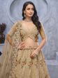 Brown Wedding Wear Net Lehenga Choli Set