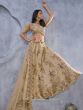 Brown Wedding Wear Net Lehenga Choli Set