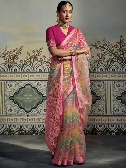 Multicolor Organza Saree With Embroidered Blouse