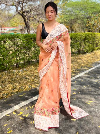 Orange Embroidered Border Saree In Organza