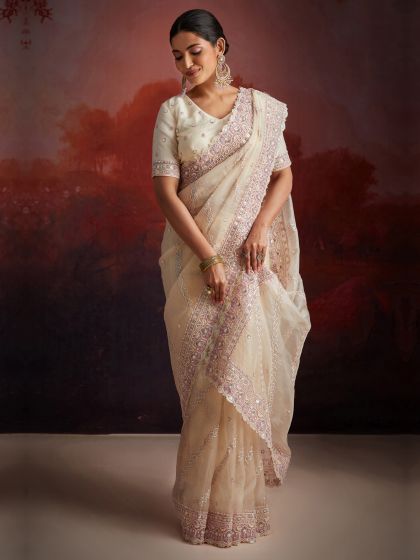 Light Beige Net Saree With Heavy Embroidered Borders